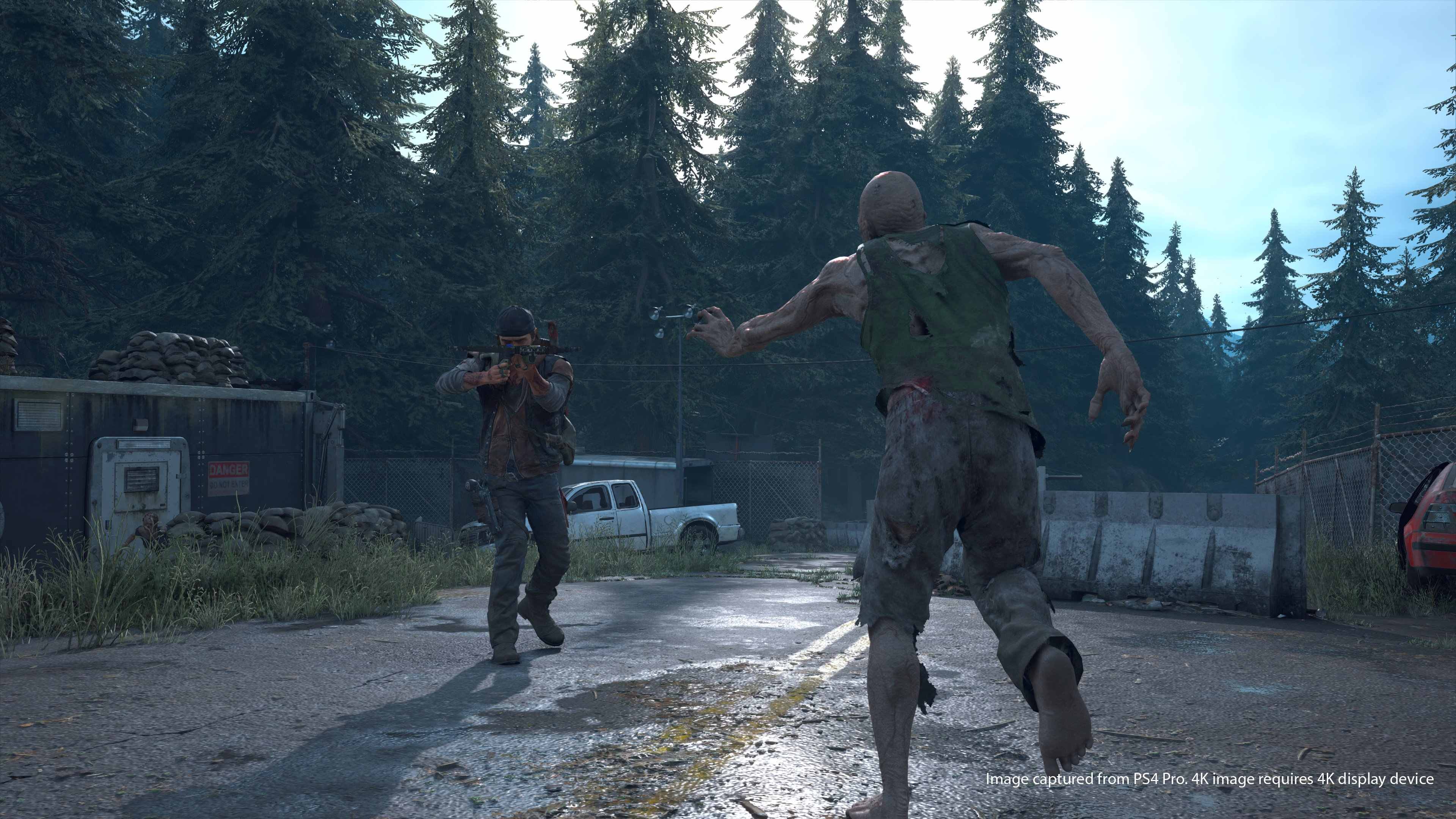 Days Gone